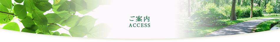アクセスご案内