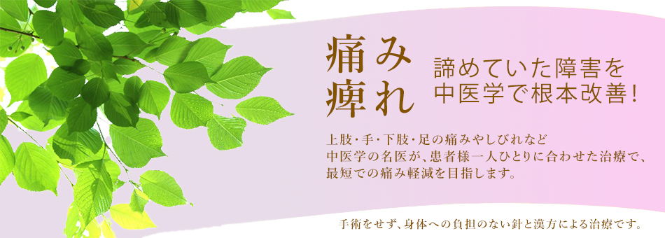 諦めていた痛みを中医学で根本改善！